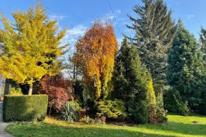 Baggrund 4